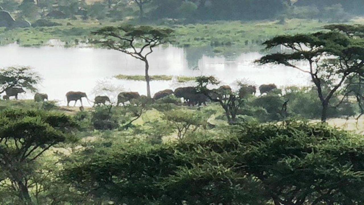Seronera Wildlife Lodge Serengeti Dış mekan fotoğraf